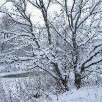 На берегу Протвы :: Сергей Курников На берегу Протвы :: Сергей Курников