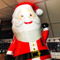 Фотография :: Денис Безногов