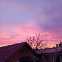 С новым добрым утром! :: Татьяна Пальчикова С новым добрым утром! :: Татьяна Пальчикова