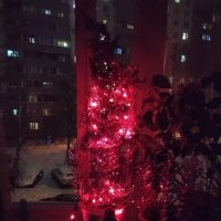 Свет ёлки новогодней :: Дмитрий Никитин