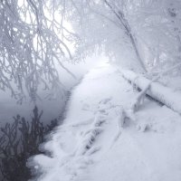 В морозном тумане :: Марина Фомина. В морозном тумане :: Марина Фомина.