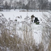 "Простые картинки" :: Владимир Носов