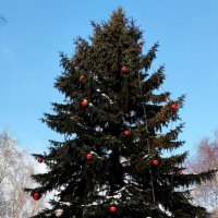 С Новым годом!!! :: Радмир Арсеньев