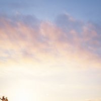 Волжский променад :: Сергей Сабешкин Волжский променад :: Сергей Сабешкин