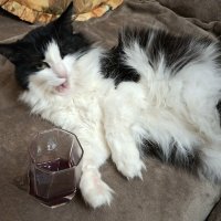 Третий день января :: ИРЭН@ .