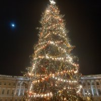 Ёлка :: Сапсан 