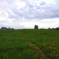 Между Скново и Староселком :: Артем Между Скново и Староселком :: Артем