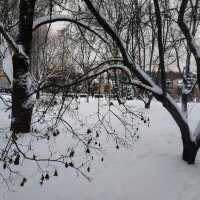 Зима в Москве :: Андрей Лукьянов