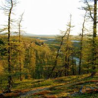 Восточный склон полярного Урала. Ямал. :: Tata Wolf