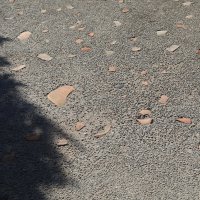 Осколки древней цивилизации :: Леонид 