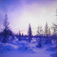 Волшебство зимы :: Людмила Смородинская