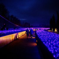 Ночь...Парк Галицкого... :: Николай Саржанов