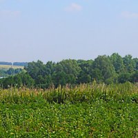 СЕЛЬСКИЙ  УГОЛОК :: Русский Шах Гончар