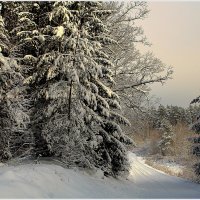 *** :: Aleksandr Gal