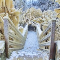 Мостик над водопадом Валасте :: Marina Pavlova