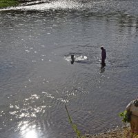 Купание. :: ВикТор Быстров Купание. :: ВикТор Быстров