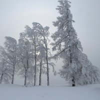 Белогорье :: Лариса С.