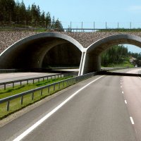 Вблизи шале Котолампи :: Александр Ильчевский 