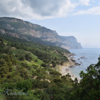 Природа Крыма :: Amazing Cosmea
