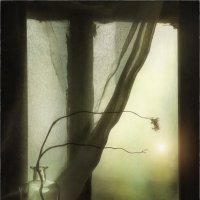 *** :: Oleg Rastorguev