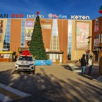 Ёлка :: Анатолий Чикчирный