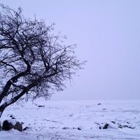 Когда черно-белое не черно-белое :: Хватова Марина 