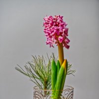 (°-°) :: Jakob Dick