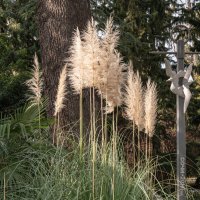 ... :: Сергей Яковлев