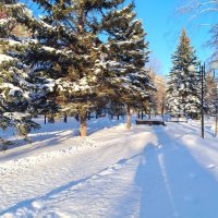 Зимний солнечный день 31 декабря 2025 глда :: Надежда 