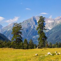 Три сестры :: Алексей 