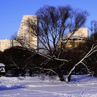 Зимний парк. :: Василий Палий Зимний парк. :: Василий Палий