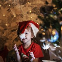 дед мороз :: Olga дед мороз :: Olga