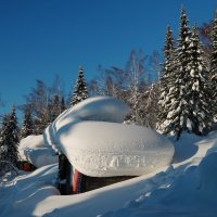 Пирожное :: Павел Трунцев