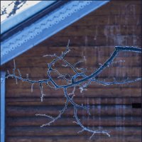 Зимняя арабеска :: Наталья Rosenwasser Зимняя арабеска :: Наталья Rosenwasser