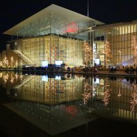 В парке. :: Оля Богданович