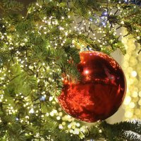 Шарик на ёлочке. :: Оля Богданович