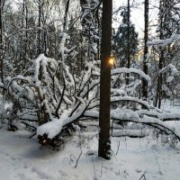 Грядут Рождественские морозы, но пока -2 :: Андрей Лукьянов