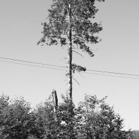 Фотография :: Денис Безногов