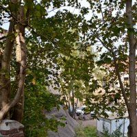 ВЫБОРГ. :: Виктор Осипчук