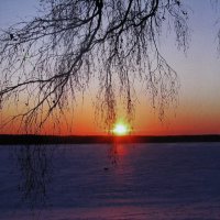 Красивый вечер :: Людмила Смородинская