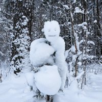 Причуды природы. :: Милешкин Владимир Алексеевич Причуды природы. :: Милешкин Владимир Алексеевич