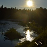 Вечернее солнце. :: ВикТор Быстров Вечернее солнце. :: ВикТор Быстров