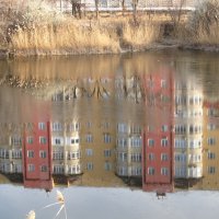 отражение :: Елена Шаламова