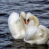 Одна влюбленная пара :: Андроник Александр 