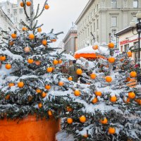 Ааа... апельсиновый рай... :: Nyusha .