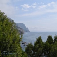 Природа Крыма :: Amazing Cosmea