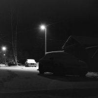 Декабрьское утро, 2025 г. :: Олег Зоркий