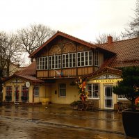 Кафешки Курортного проспекта :: Лилия .