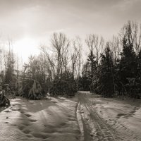 Черно-белая сказка :: Вадим Басов