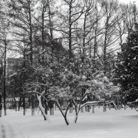 Зимний макияж городских улиц :: Alisia La DEMA